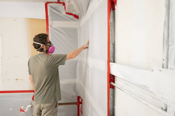 Best Post-Construction Mold Inspection  in Susitna North, AK